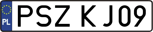 PSZKJ09