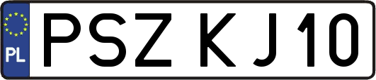 PSZKJ10