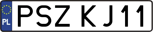 PSZKJ11