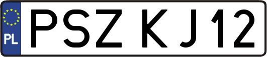 PSZKJ12