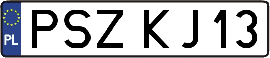 PSZKJ13