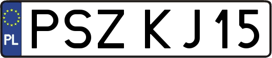 PSZKJ15