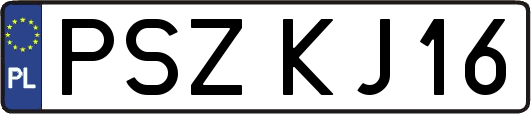 PSZKJ16