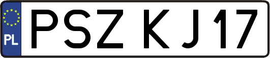 PSZKJ17