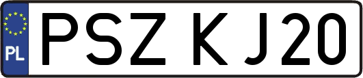 PSZKJ20