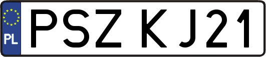 PSZKJ21