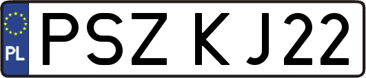 PSZKJ22