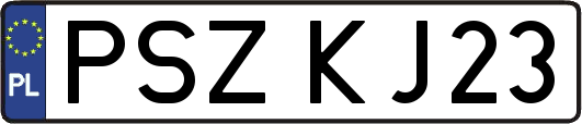 PSZKJ23