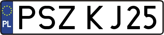 PSZKJ25
