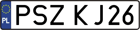 PSZKJ26
