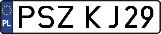 PSZKJ29