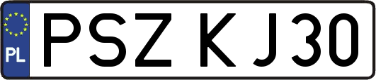 PSZKJ30