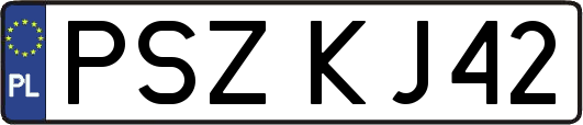 PSZKJ42