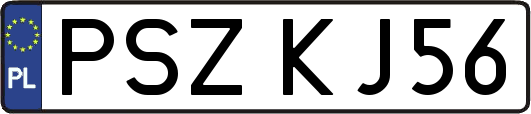 PSZKJ56