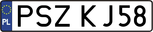 PSZKJ58