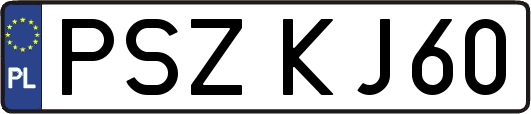 PSZKJ60