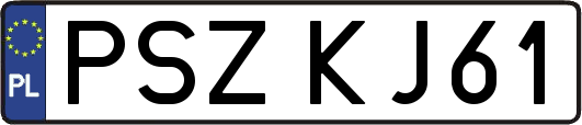 PSZKJ61