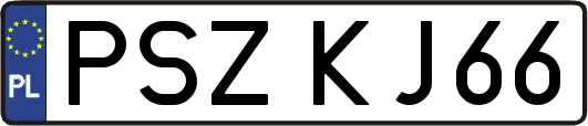 PSZKJ66