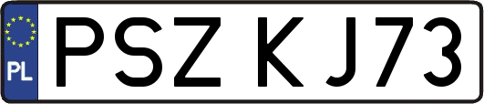 PSZKJ73
