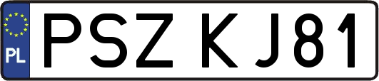 PSZKJ81