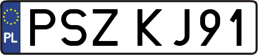 PSZKJ91