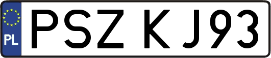 PSZKJ93