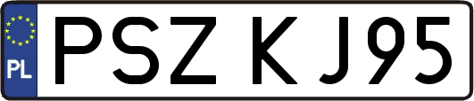 PSZKJ95