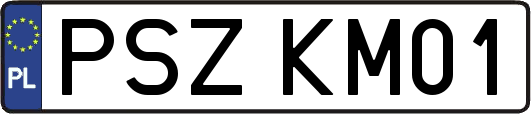 PSZKM01