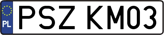 PSZKM03