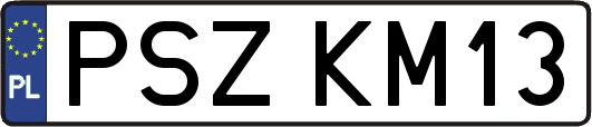 PSZKM13