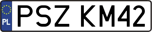 PSZKM42
