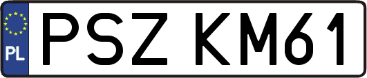 PSZKM61