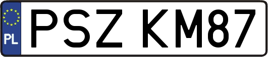 PSZKM87
