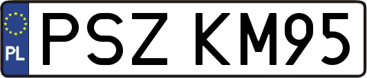 PSZKM95