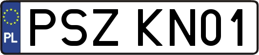 PSZKN01