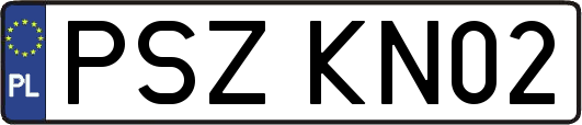 PSZKN02