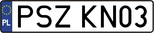 PSZKN03