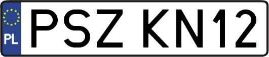 PSZKN12