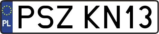PSZKN13