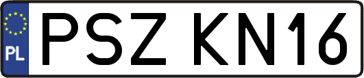 PSZKN16