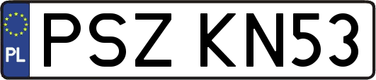PSZKN53