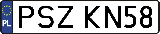 PSZKN58