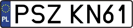 PSZKN61