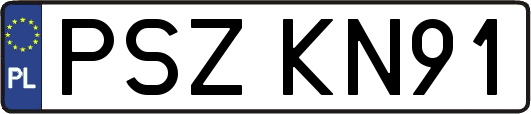 PSZKN91