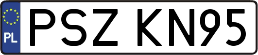 PSZKN95