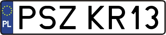 PSZKR13