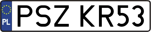 PSZKR53