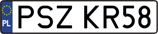 PSZKR58
