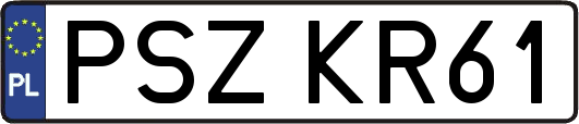 PSZKR61