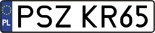 PSZKR65